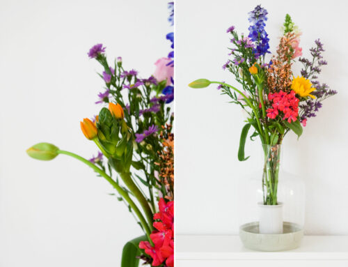 Bloemen in het Sagaform Greenhouse