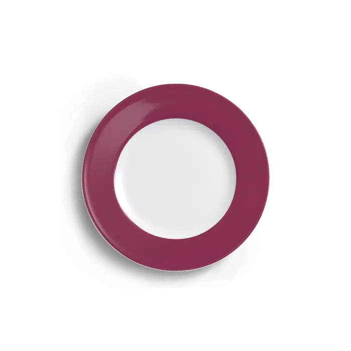 Solid Color bord 21cm