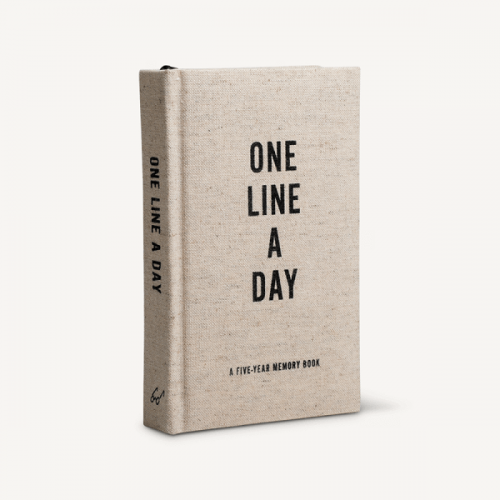 One line a day canvas - chronicle books