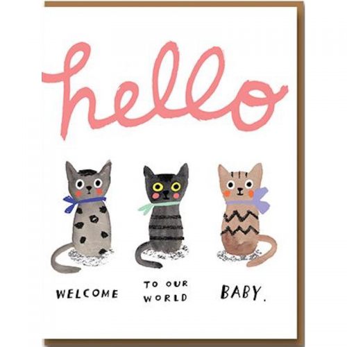 1973 Card dubbel + Baby Kittens