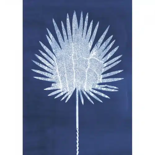 Kaart Island Shadows Fan Palm