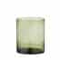 Vase Salon Glass Fern 17x20cm