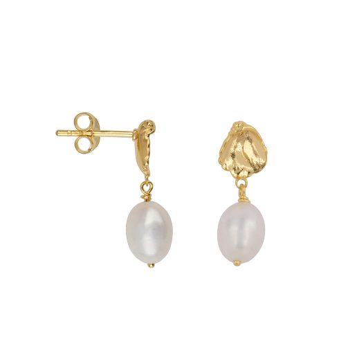 BB Mini Oyster Stud Pearl Earring Gold Plated