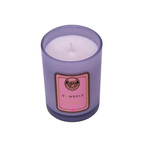 Candle scented Stay Wild blue
