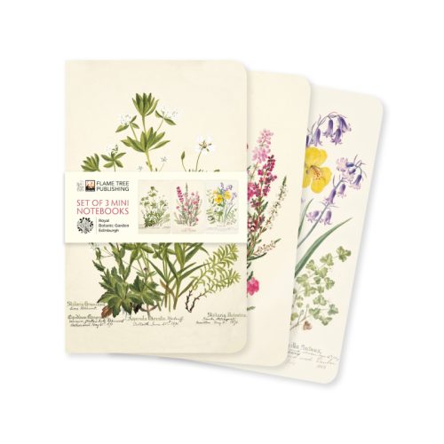 Notebook Flametree mini Botanic garden set/3