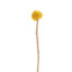 Endless Flower vilt Sunball