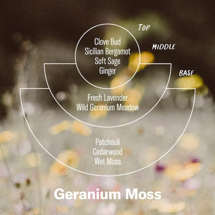 Alchemy Soy Candle Geranium Moss