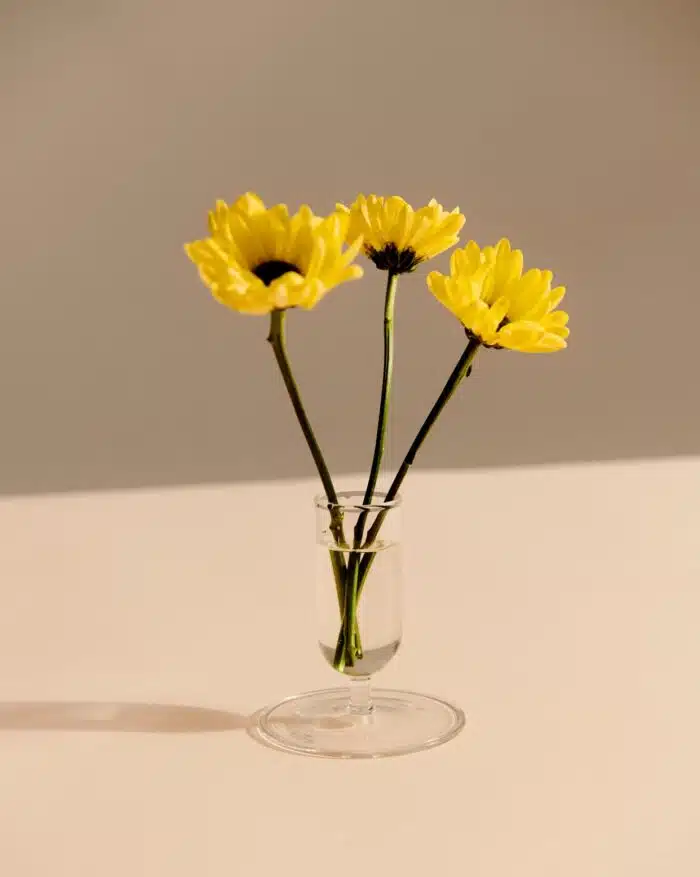 Tiny Vase glass