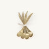 Theelepel Stella Feather set/4 brass