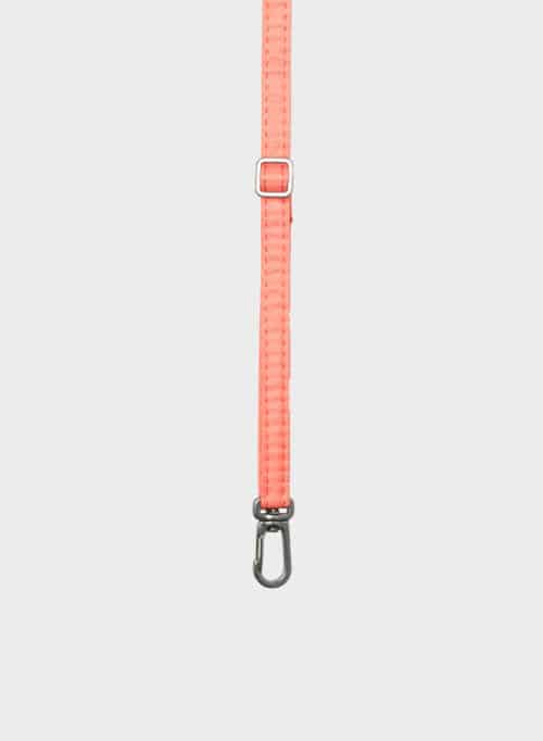 The New Strap Coral