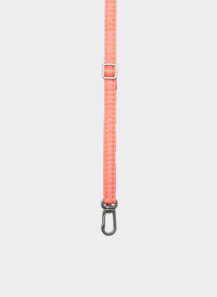The New Strap Coral