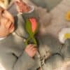 Theo the Tulip Bijtspeeltje