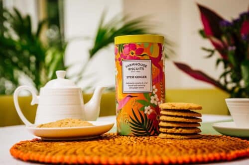 Blik Koekjes Tropical Stem Gember
