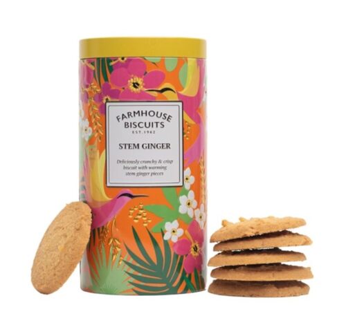 Blik Koekjes Tropical Stem Gember