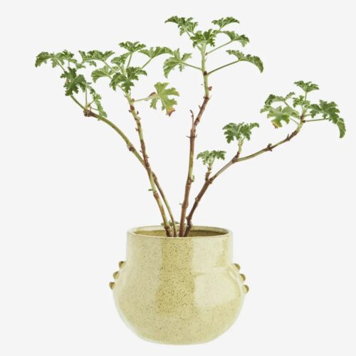 Bloempot Small Geel