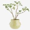 Bloempot Small Geel