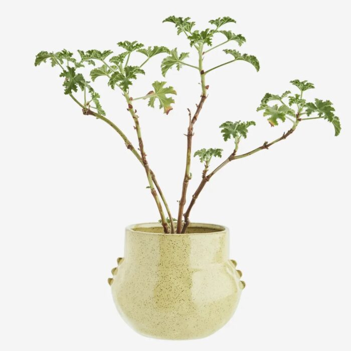 Bloempot Small Geel