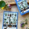Mini Puzzel Plant Lover