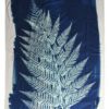 Pareo Cyanotype Fougere