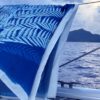 Pareo Cyanotype Fougere