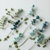 Endless Flower Vilt Eucalyptus