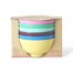 Melamine Bowls set/6 Show Your True Colors