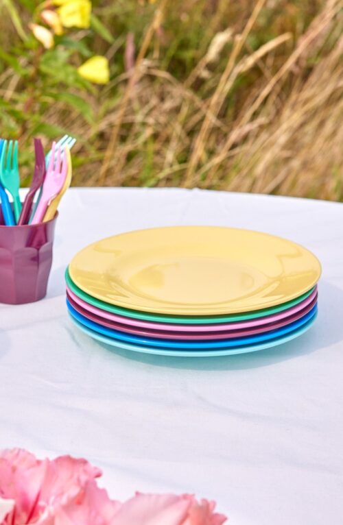 Melamine Dinerborden set/6 Show Your True Colors