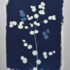Theedoek Cyanotype Eucalyptus Organic Cotton