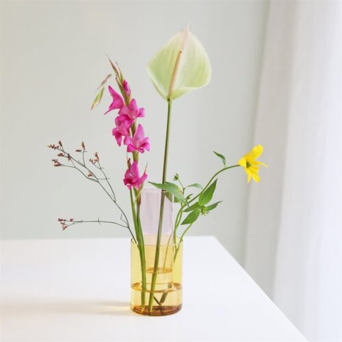 Vaas Amphi Small Yellow