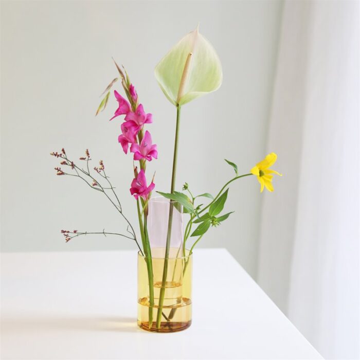 Vaas Amphi Small Yellow