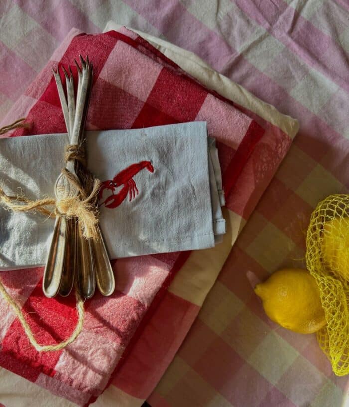 Set van 4 servetten Crayfish