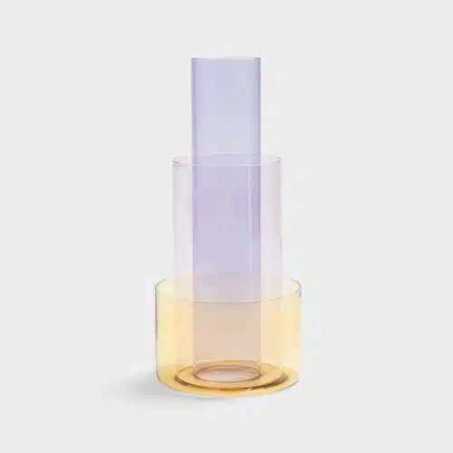 Vaas Amphi Large Yellow