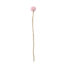 Endless Flower Vilt Distel Blush