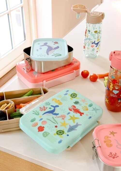 Lunch Box Small rvs Ocean Blue