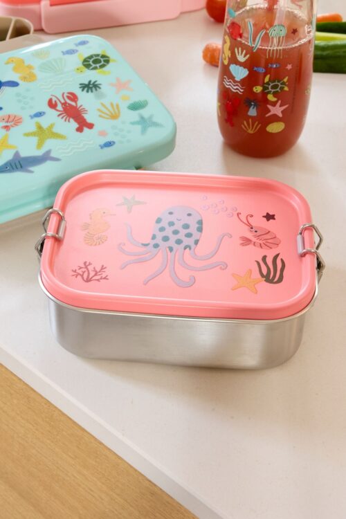 Lunch Box small rvs Ocean Coral