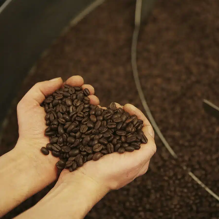 Bio Blend Organic Espresso