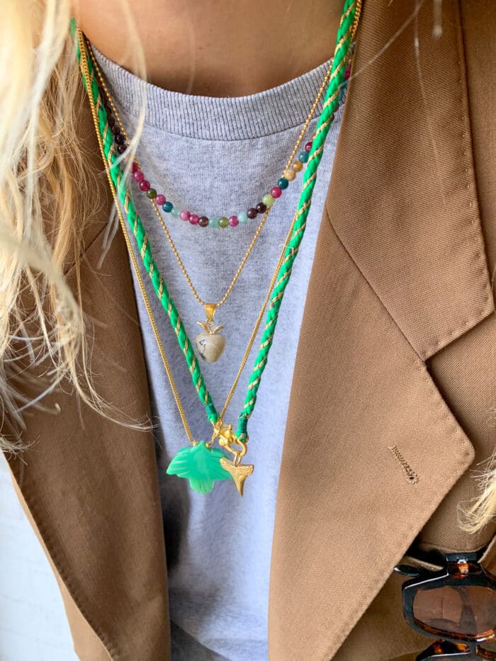Ketting met Vogel van labradoriet