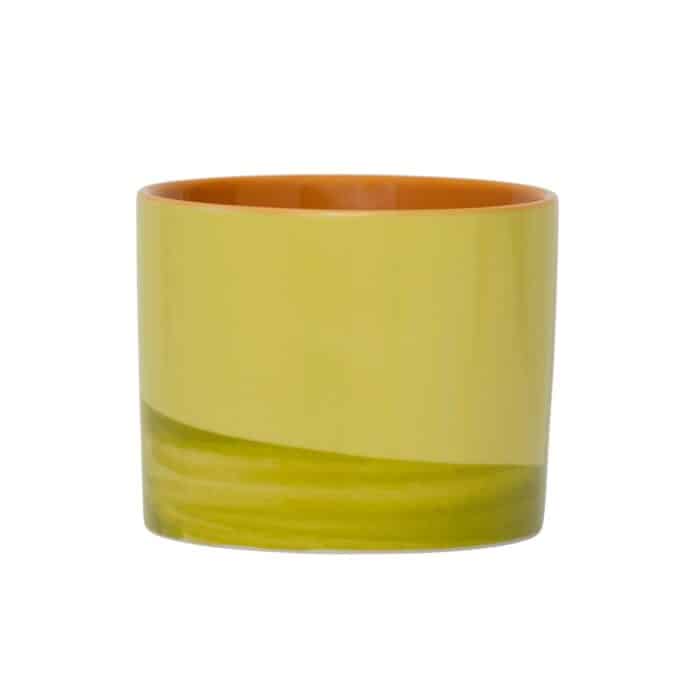 Mok Tazza Evergreen Sprig