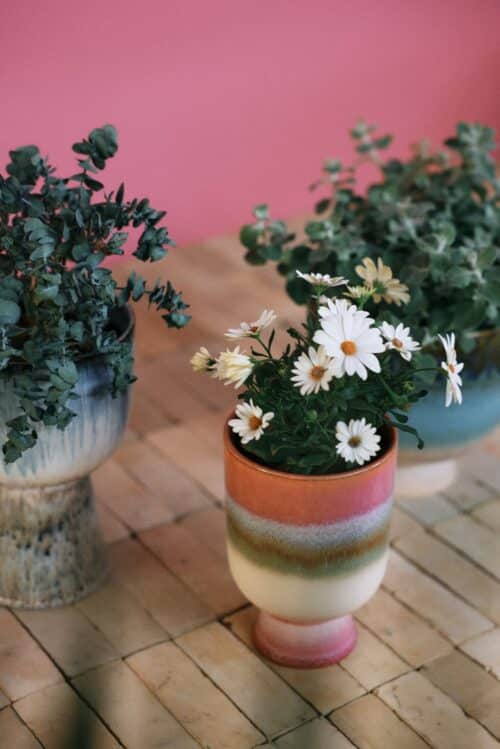 Retro Bloempot Rosefield