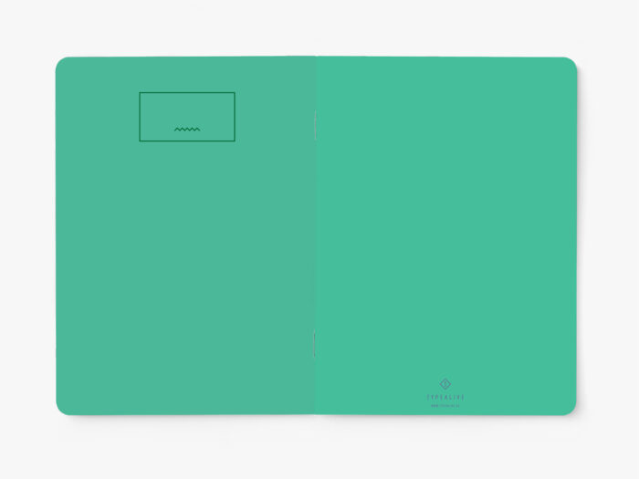 Schrift Streep Groen Paars