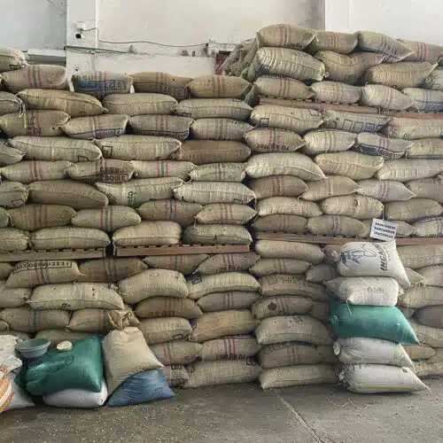 Colombia Kachalu Espresso Organic