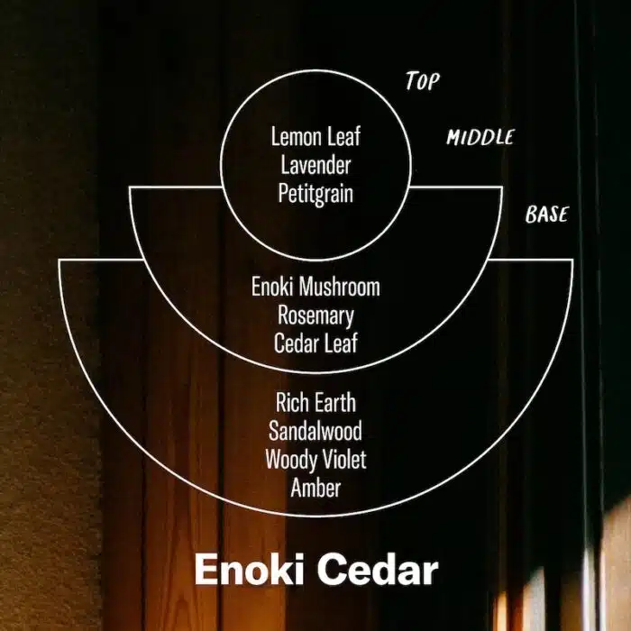 Geurstokjes Alchemy Enoki Cedar
