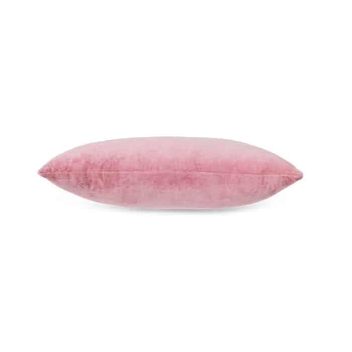 Kussen Fluweel Rose