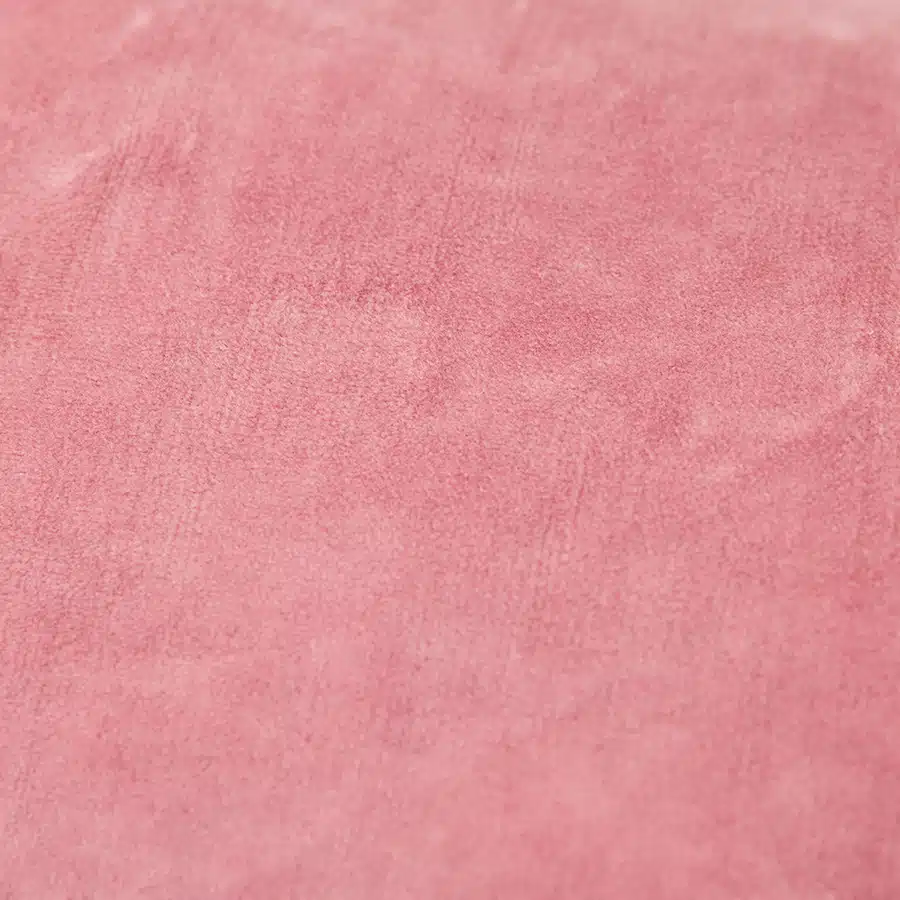 Kussen Fluweel Rose