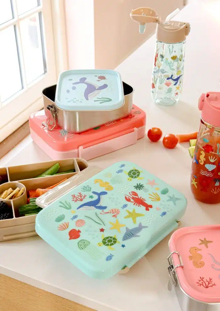 Lunch Box Small rvs Ocean Blue