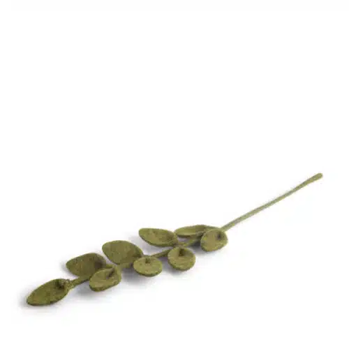 Vilten takje groen