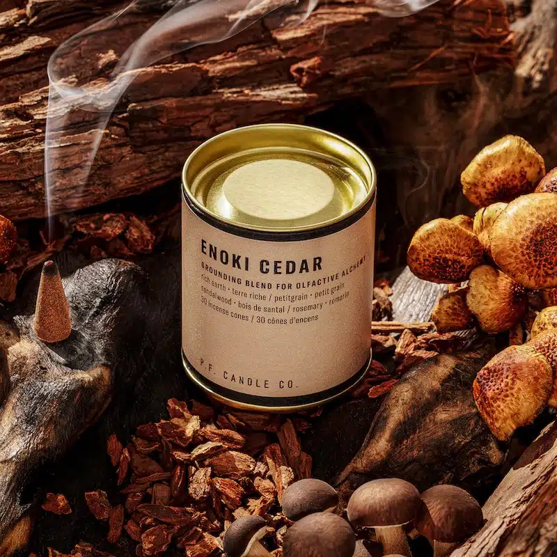 Alchemy Wierook kegels Enoki Cedar