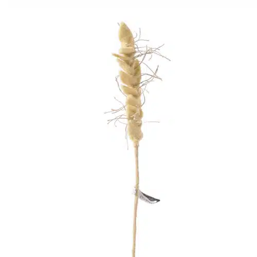 Endless Flower Vilt Wheat
