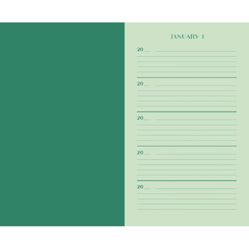 One line a day 5 year memory book Groen