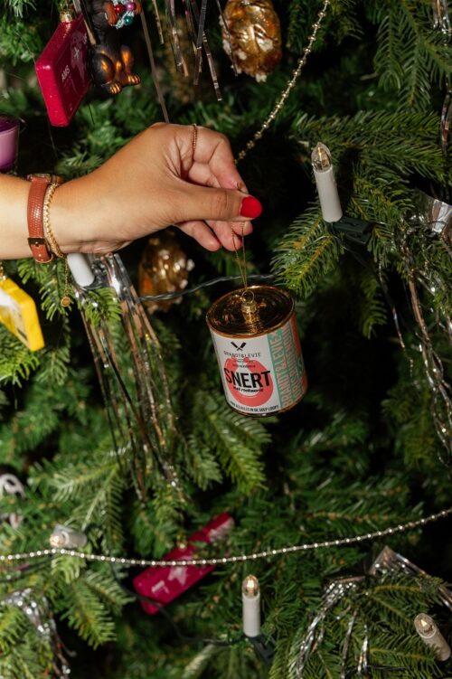 Ornament Brandt&Levie Snert